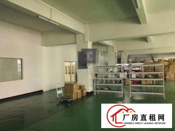  塘沥一楼标准厂房精装修分租300~600平，无公摊