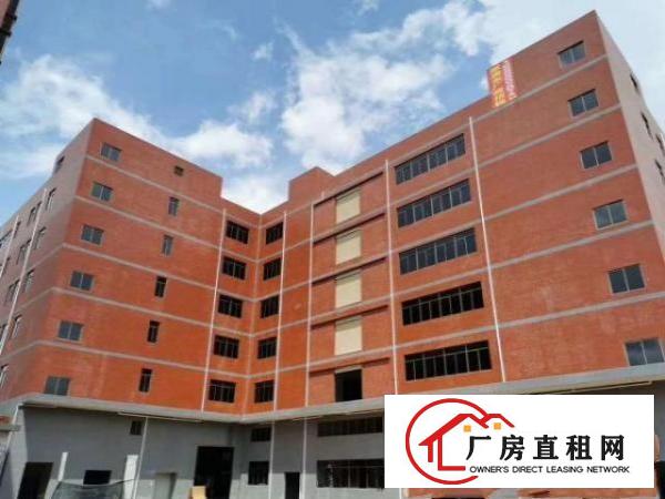  凤岗金凤凰楼上全新消防喷淋厂房出租2250平