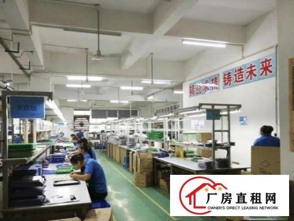  雁田新出500平方房东独院一楼厂房：消防过关免装修