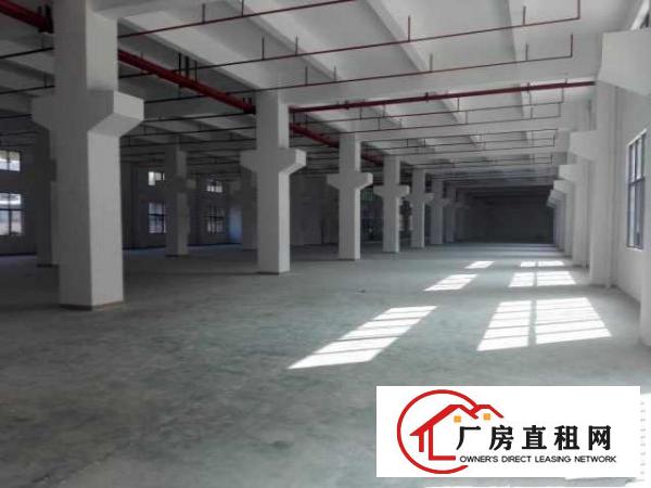  凤岗厂房一楼2400平米出租