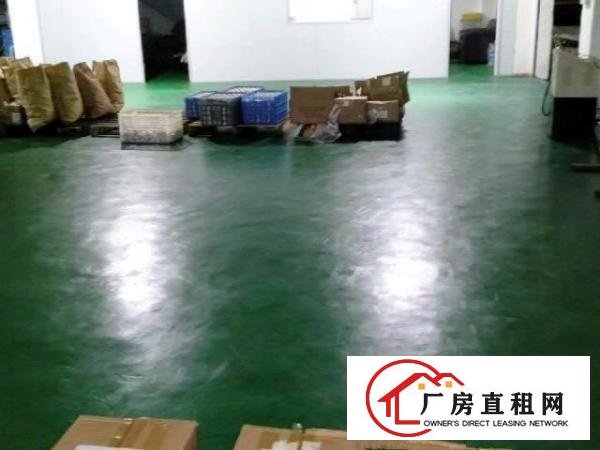  标准一楼，地平漆，适合做CNC,精雕等标
