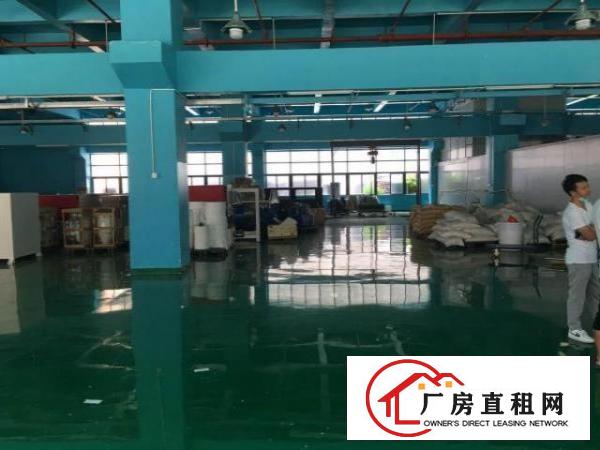  形像好有牛角，6.5米高，凤岗一楼标准厂房出租1400平