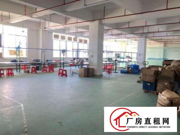  水电齐全精装修办公室，二楼厂房出租660平凤岗金凤凰工业