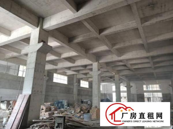  雁田海关附近，全新独院厂房电商冻库出租1万平，大小分租