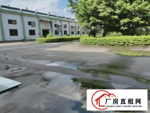  空的大，近龙岗凤岗官井头单一层独院钢构厂房出租4600平