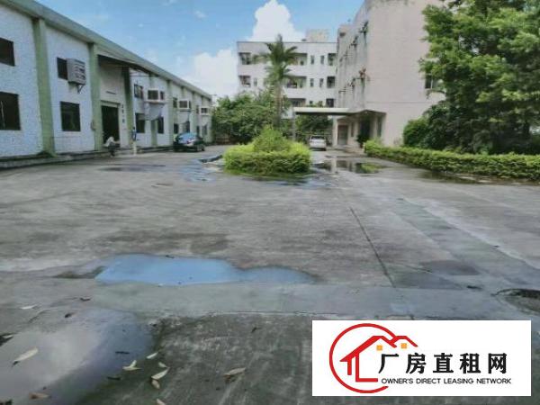  空的大，近龙岗凤岗官井头单一层独院钢构厂房出租4600平