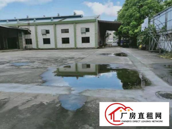  空的大，近龙岗凤岗官井头单一层独院钢构厂房出租4600平