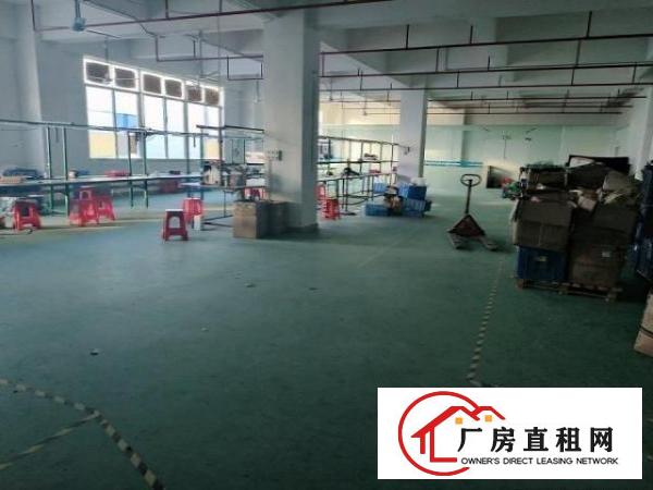  9层新独门独院，楼上豪华办公室装修，车间地坪漆。