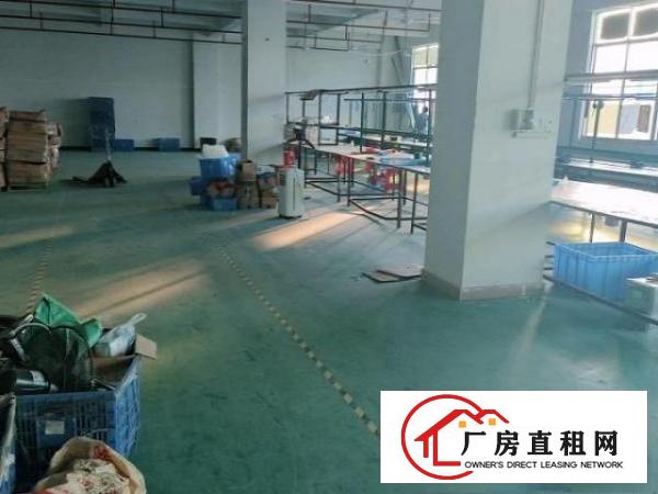  9层新独门独院，楼上豪华办公室装修，车间地坪漆。