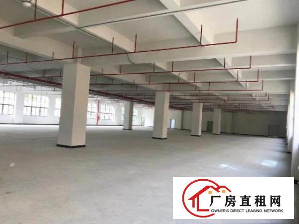  凤岗官井头全新独门独院厂房，一楼3200平。可办环评