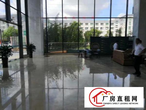  凤岗金凤凰办公楼小厂房出租电子包装电商仓储豪华装修
