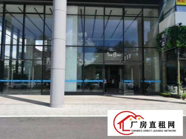  凤岗金凤凰办公楼小厂房出租电子包装电商仓储豪华装修