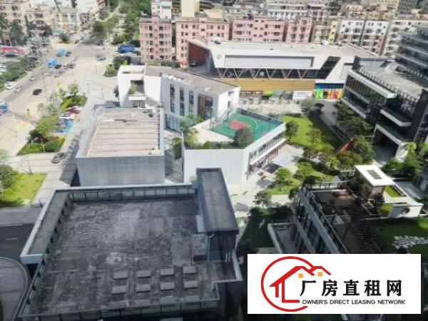  凤岗金凤凰办公楼小厂房出租电子包装电商仓储豪华装修