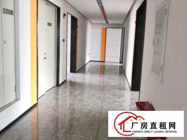  凤岗金凤凰办公楼小厂房出租电子包装电商仓储豪华装修