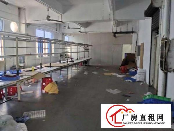  乐富山3楼500平标准厂房