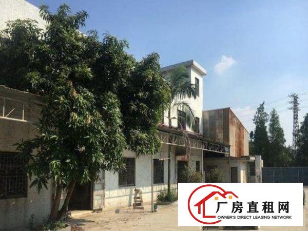  黄洞1000平钢构厂房高8米交能便利
