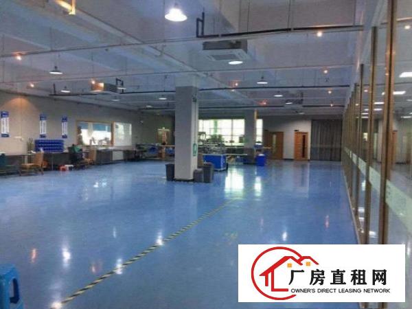  凤岗工业园新出楼上豪华厂房办公室地坪漆直接办公无转让费