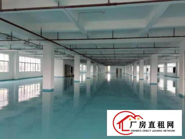  原房东招租金凤凰工业区3楼装修厂房带消防喷淋，形象好价格好
