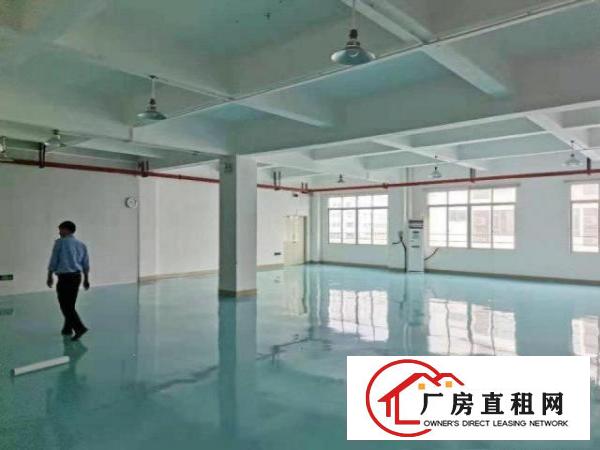  原房东招租金凤凰工业区3楼装修厂房带消防喷淋，形象好价格好