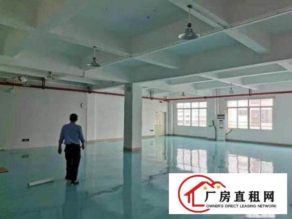  原房东招租金凤凰工业区3楼装修厂房带消防喷淋，形象好价格好