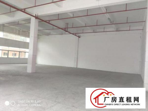  新出凤岗工业园一楼500方带办公室，高度6米，形象好进车方便