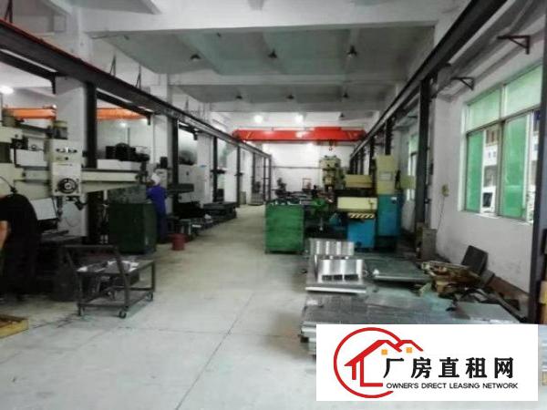  出租凤岗工业园一楼带航车500方，高度6米，带办公室拎包生产