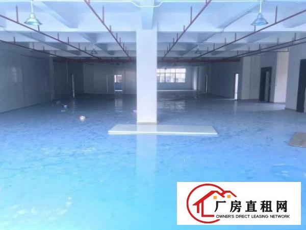  金凤凰工业区楼上精装修1350方，带办公室消防喷淋，拎包生产