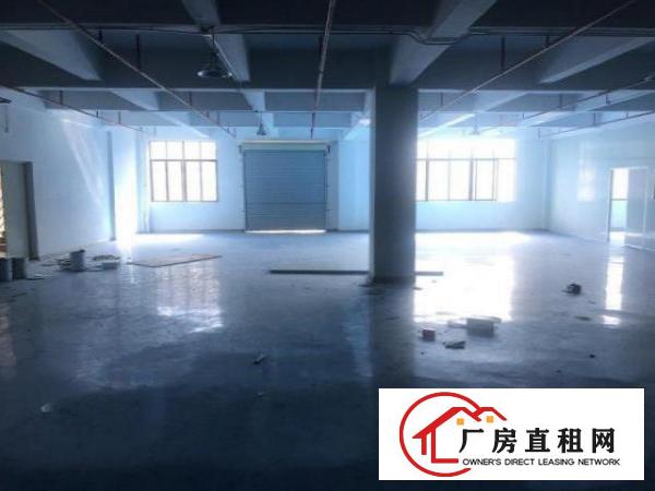  金凤凰工业区楼上精装修1350方，带办公室消防喷淋，拎包生产