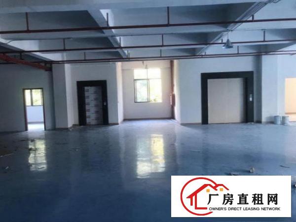  金凤凰工业区楼上精装修1350方，带办公室消防喷淋，拎包生产