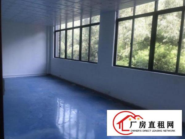  金凤凰工业区楼上精装修1350方，带办公室消防喷淋，拎包生产