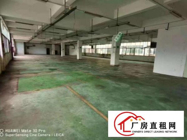 独门独院厂房出租，形象好