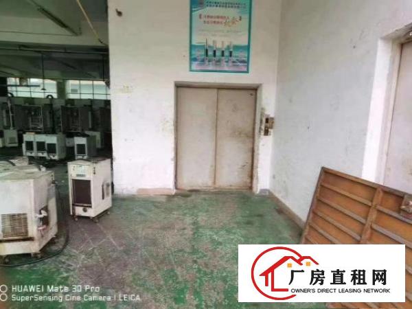  独门独院厂房出租，形象好