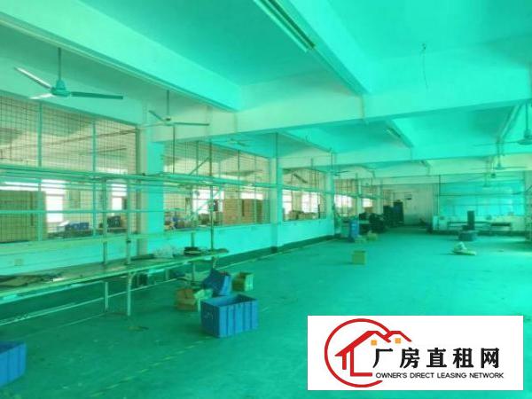  自用厂房分租二三楼各1100平米厂房在凤岗五联