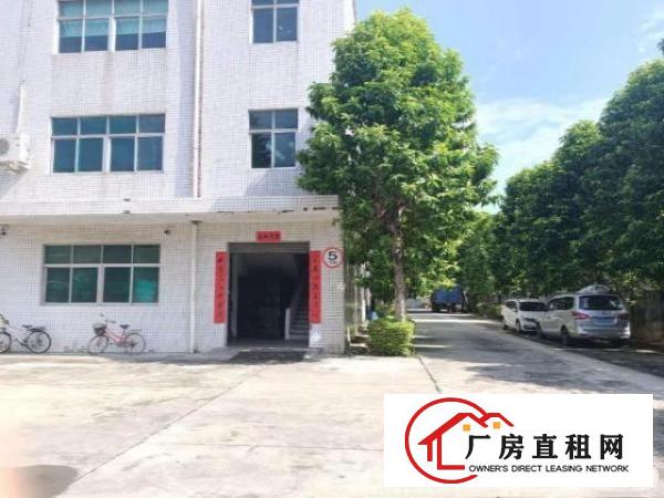  自用厂房分租二三楼各1100平米厂房在凤岗五联