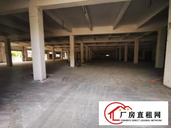  超大空地，临时仓库招租3000平米，厂房在黄洞