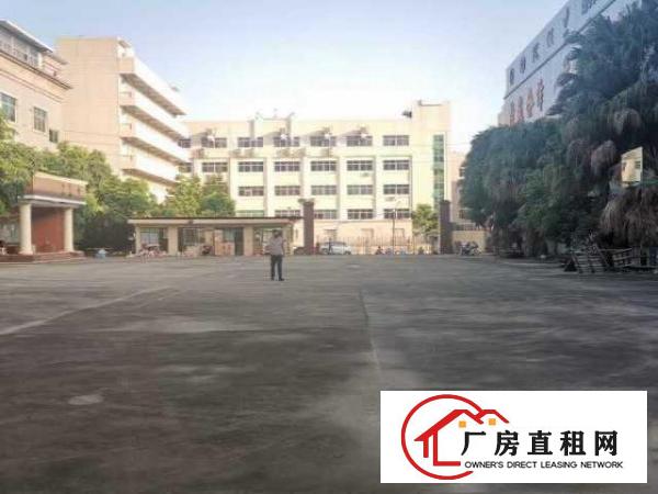  超大空地，临时仓库招租3000平米，厂房在黄洞