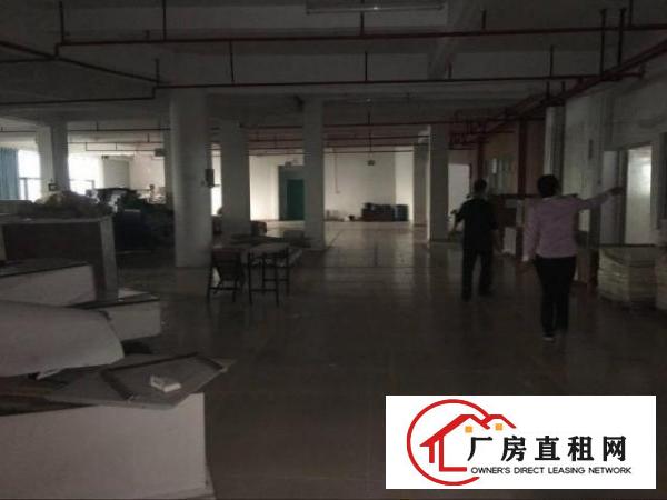  凤岗天堂围精装修组装加工厂房出租1500平