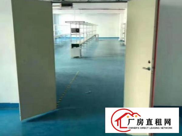 凤岗楼上厂房出租1200平电子组装加工贸易现成流水线