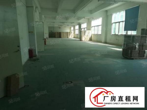  凤岗华兴工业园新出一楼900平超大空地带牛角厂房出租可分租