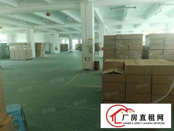  凤岗华兴工业园新出一楼900平超大空地带牛角厂房出租可分租