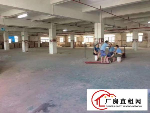  凤岗五联原房东带精装修独院8000平厂房出租，价格好谈可分租