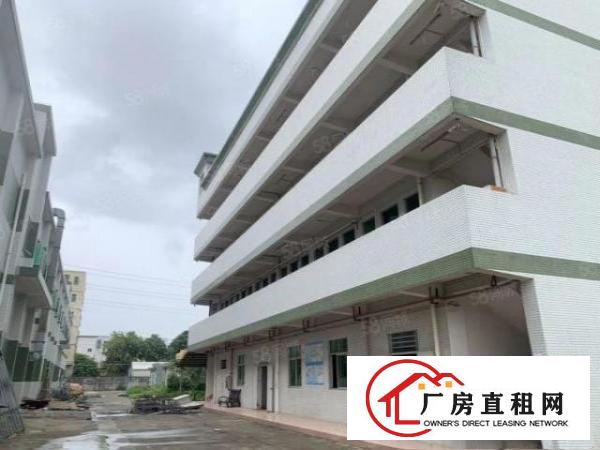  凤岗官井头独门独院10000平出租带牛角可办环评