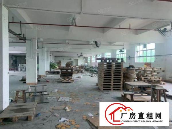  凤岗官井头独门独院10000平出租带牛角可办环评