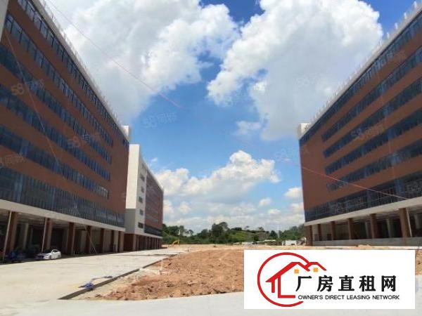  凤岗原房东全新厂房总面积88000平方可分租近高速出口