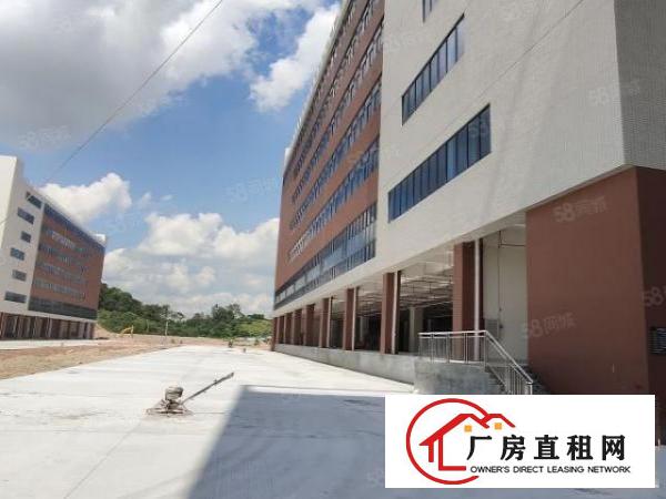  凤岗原房东全新厂房总面积88000平方可分租近高速出口