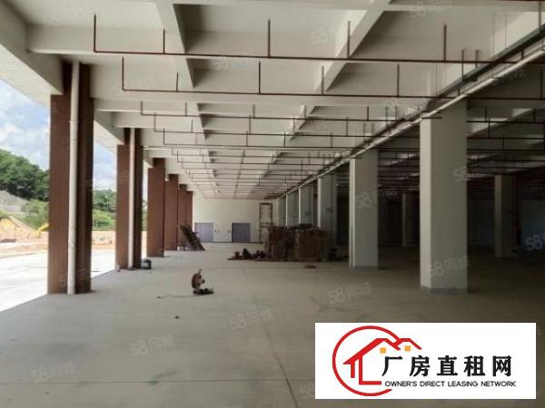  凤岗原房东全新厂房总面积88000平方可分租近高速出口