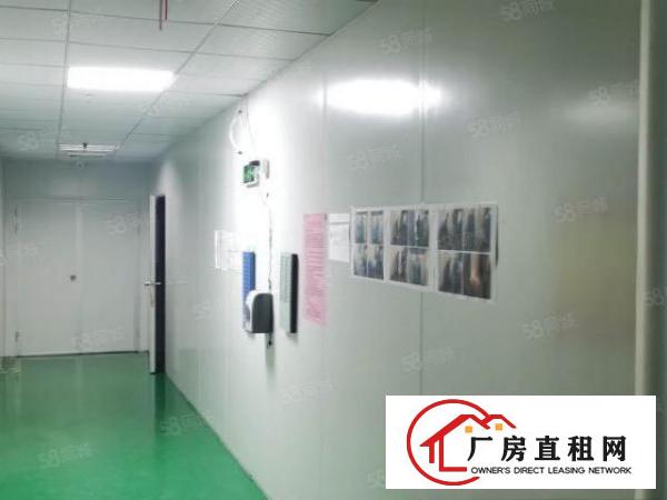  凤岗雁天南山工业区一楼标准厂房出租1000平可以分租可办环评