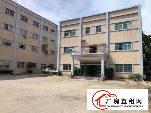  凤岗雁天南山工业区一楼标准厂房出租1000平可以分租可办环评