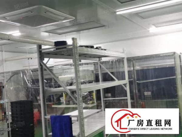  凤岗雁天南山工业区一楼标准厂房出租1000平可以分租可办环评
