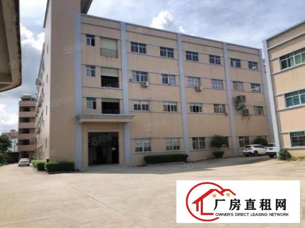  凤岗雁天南山工业区一楼标准厂房出租1000平可以分租可办环评